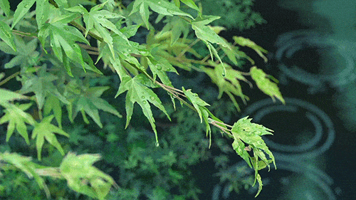 春晓